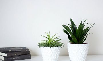 diy macetas originales textura piña