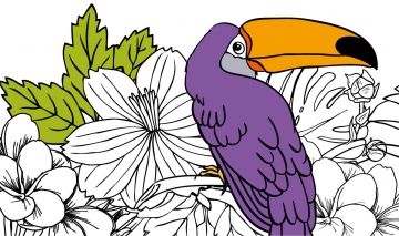 mandalas para colorear