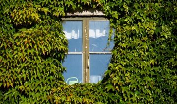 Título de la imagen