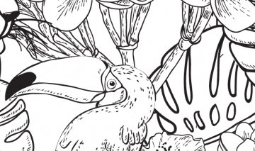 © Mandalas y otros dibujos de la selva para colorear (Zenith)