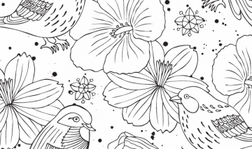 © Mandalas y otros dibujos de la selva para colorear (Zenith)