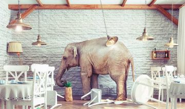 dan shar ri ordena tu vida yamashita