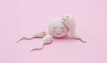 Agosto, el mejor mes para quedarte embarazada